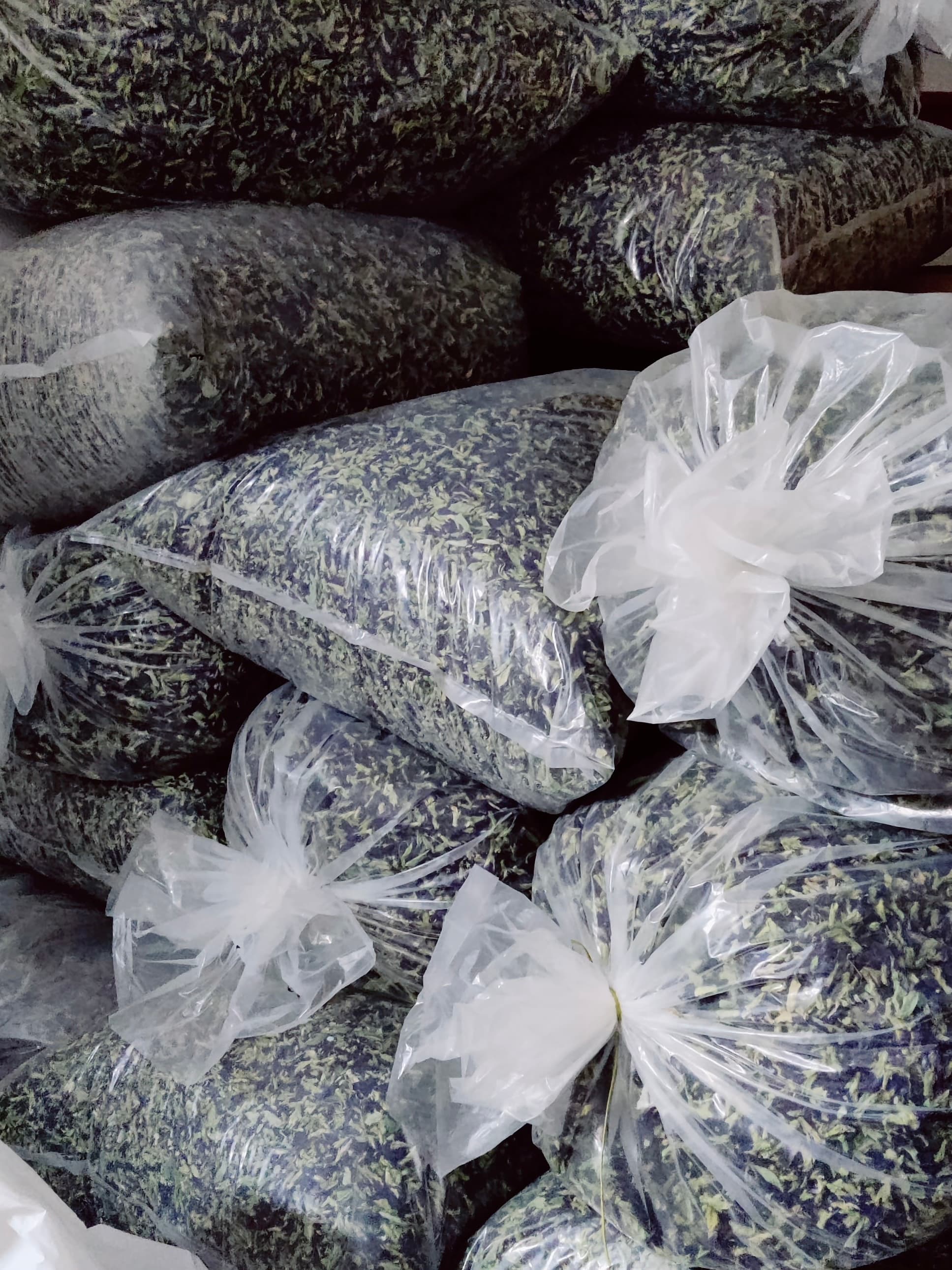 Butterfly pea flowers packaged for export in quality-controlled packaging