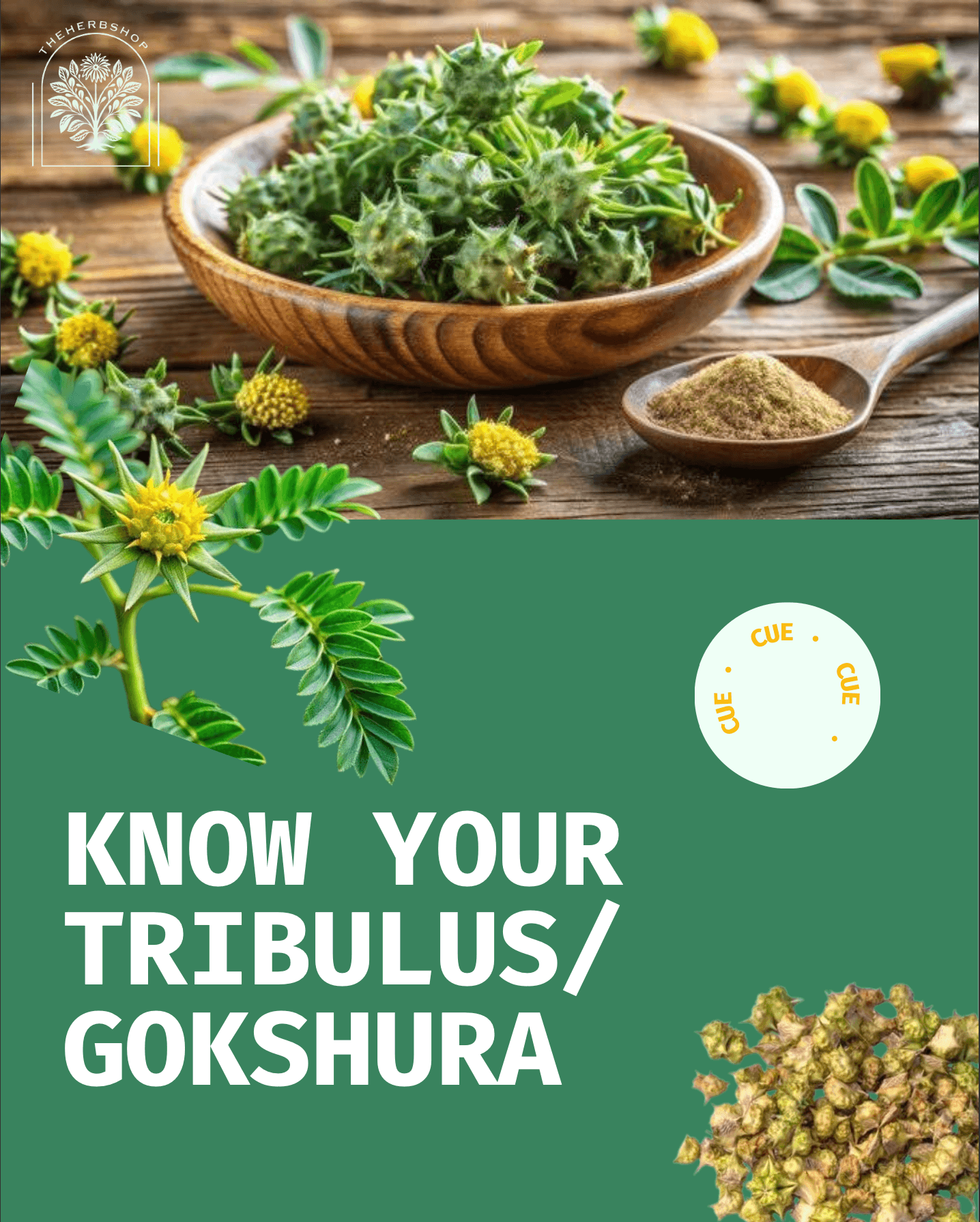 Tribulus Terrestris: Nature's Performance Enhancer