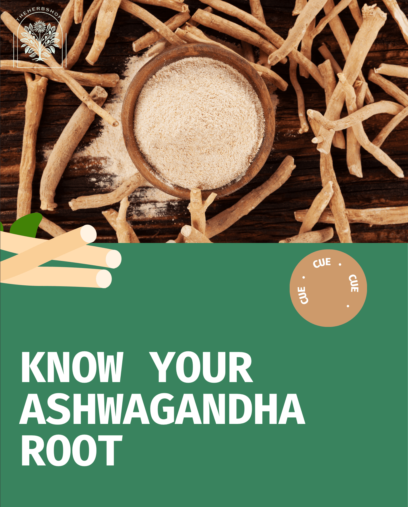 Ashwagandha: The Stress-Fighting Adaptogen
