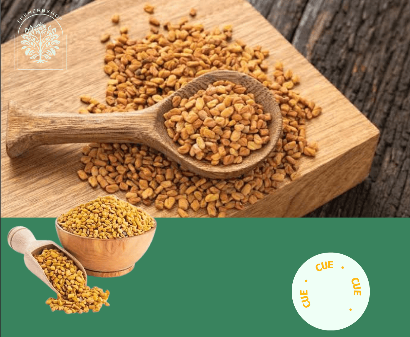 Fenugreek Safety - Trigonella foenum-graecum seeds and plant