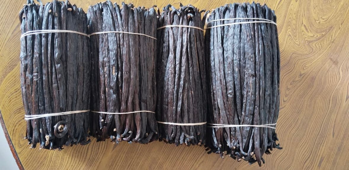 Grade A vanilla bean bundles — THS IMPEX bulk vanilla export from India