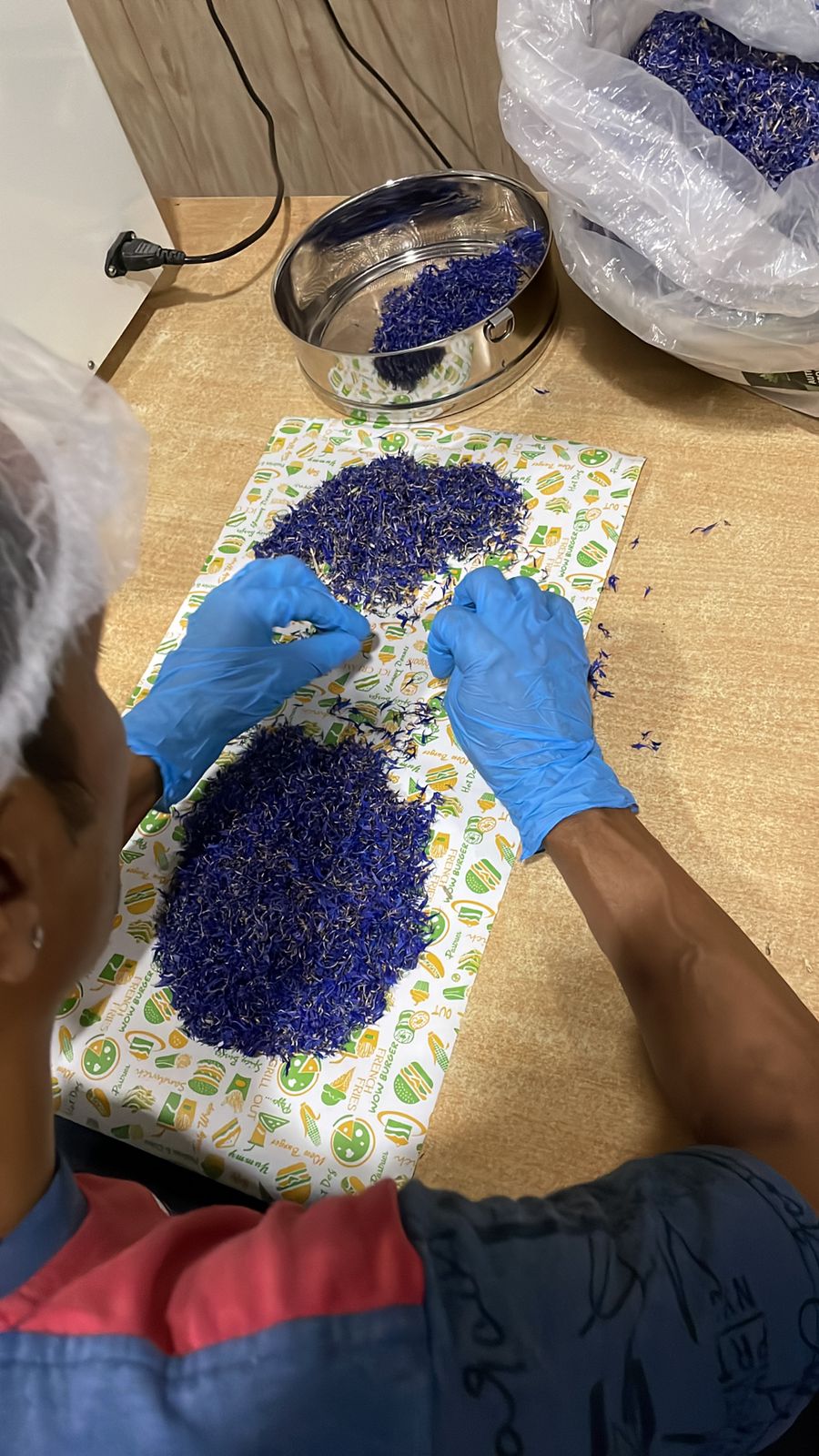 Premium butterfly pea flowers being processed and quality checked in Bareli, India for international export